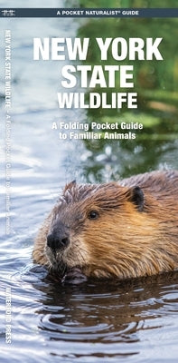 New York State Wildlife: A Folding Pocket Guide to Familiar Animals by Waterford Press