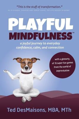 Playful Mindfulness: a joyful journey to everyday confidence, calm, and connection by Desmaisons, Ted