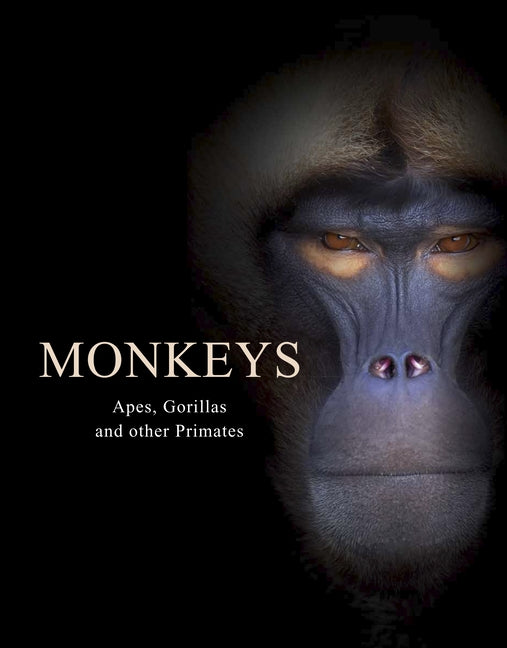 Monkeys: Apes, Gorillas and Other Primates by Jackson, Tom