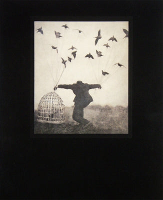 Robert and Shana Parkeharrison: The Architect's Brother by Parkeharrison, Robert