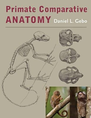 Primate Comparative Anatomy by Gebo, Daniel L.