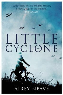 Little Cyclone by Neave, Airey