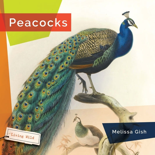 Peacocks by Gish, Melissa