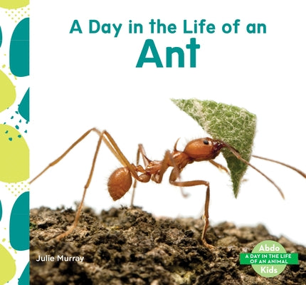 Day in the Life of an Ant by Murray, Julie