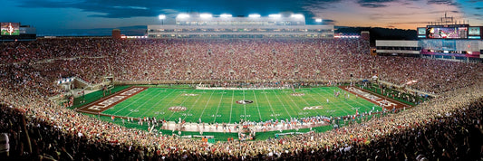 Florida State 1000 Piece Puzzle: Doak Campbell Stadium Tallahassee FL by 