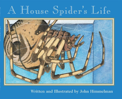 A House Spider's Life (Nature Upclose) by Himmelman, John