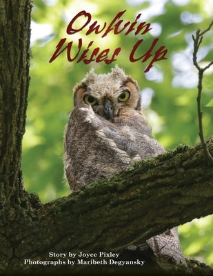 Owlvin Wises Up by Pixley, Joyce