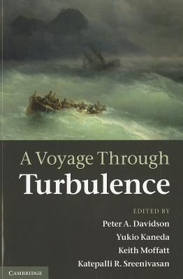 A Voyage Through Turbulence by Davidson, Peter A.