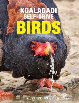 Kgalagadi Self-Drive Birds by Van Den Berg, Philip And Ingrid