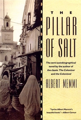 The Pillar of Salt by Memmi, Albert