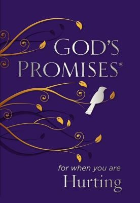 God's Promises for When You Are Hurting by Countryman, Jack