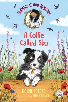 Jasmine Green Rescues: A Collie Called Sky by Peters, Helen
