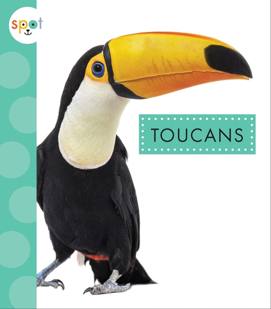 Toucans by Thielges, Alissa