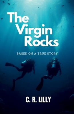 The Virgin Rocks by Lilly, Christopher R.