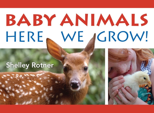 Baby Animals!: Here We Grow by Rotner, Shelley