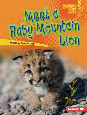 Meet a Baby Mountain Lion by Sanderson, Whitney