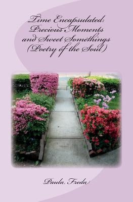 Time Encapsulated: Precious Moments and Sweet Somethings (Poetry of the Soul): (Large Print Edition) by Freda, Paula