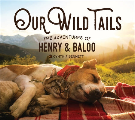 Our Wild Tails: The Adventures of Henry & Baloo by Bennett, Cynthia