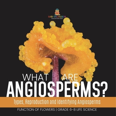 What are Angiosperms? Types, Reproduction and Identifying Angiosperms Function of Flowers Grade 6-8 Life Science by Baby Professor