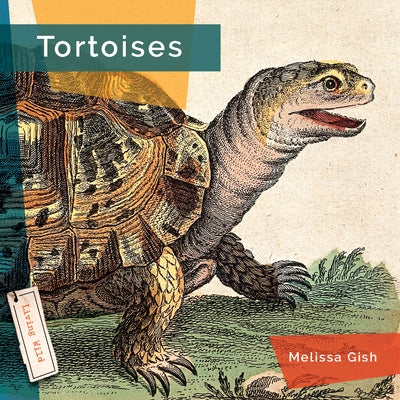 Tortoises by Gish, Melissa