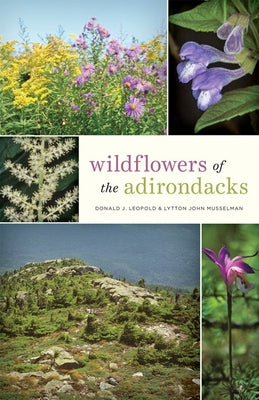 Wildflowers of the Adirondacks by Leopold, Donald J.