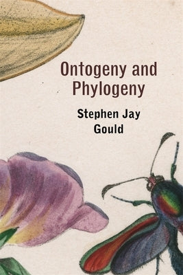 Ontogeny and Phylogeny by Gould, Stephen Jay
