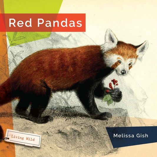 Red Pandas by Gish, Melissa