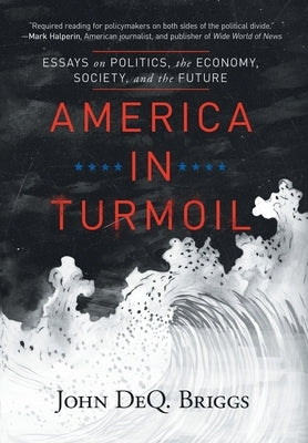 America in Turmoil: Essays on Politics, the Economy, Society, and the Future by Briggs, John Deq