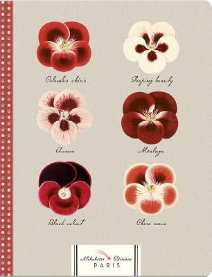 Pelargoniums (Geraniums): 6 Red & White Geraniums by Alibabette, Editions