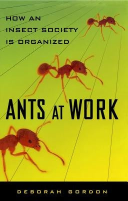 Ants at Work: How an Insect Society Is Organized by Gordon, Deborah