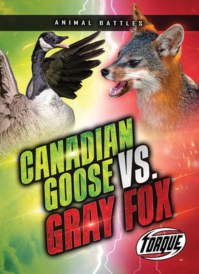 Canada Goose vs. Gray Fox by Sommer, Nathan