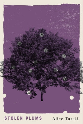 Stolen Plums by Turski, Alice