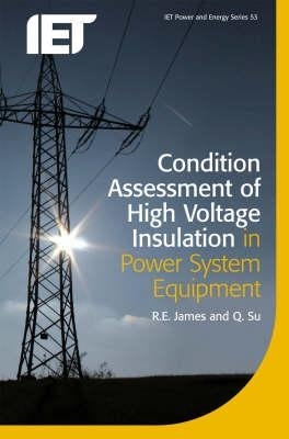 Condition Assessment of High Voltage Insulation in Power System Equipment by James, R. E.