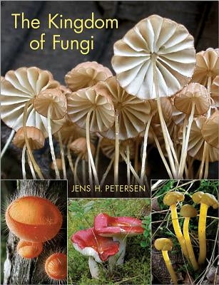 The Kingdom of Fungi by Petersen, Jens Henrik