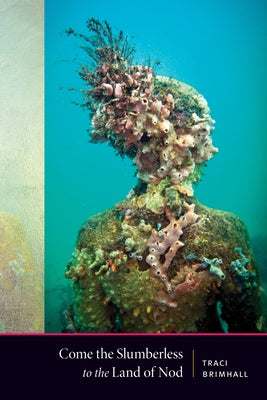 Come the Slumberless to the Land of Nod by Brimhall, Traci