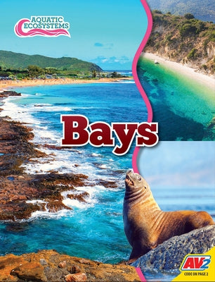 Bays by Willis, John