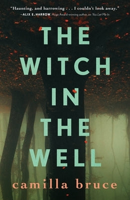 The Witch in the Well by Bruce, Camilla