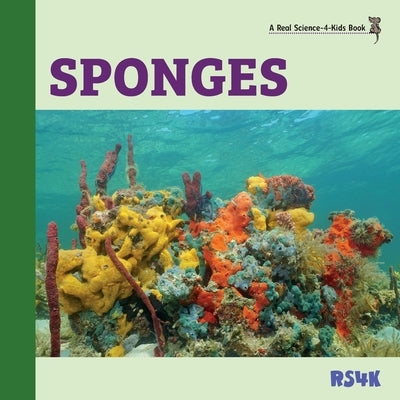 Sponges by Woodbury, Rebecca