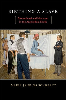 Birthing a Slave: Motherhood and Medicine in the Antebellum South by Schwartz, Marie Jenkins