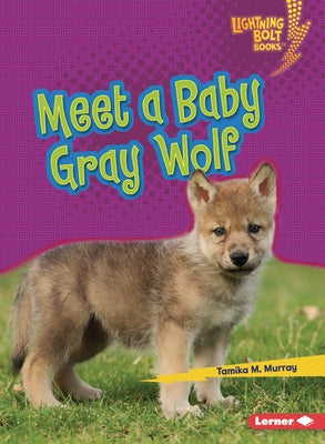 Meet a Baby Gray Wolf by Murray, Tamika M.