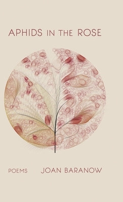 Aphids in the Rose by Baranow, Joan