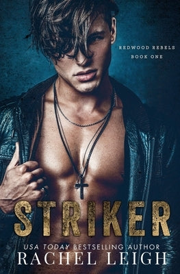 Striker: A Dark Bully Romance by Leigh, Rachel