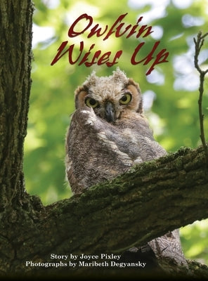 Owlvin Wises Up by Pixley, Joyce