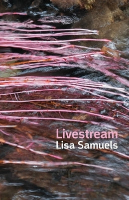 Livestream by Samuels, Lisa