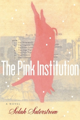 The Pink Institution by Saterstrom, Selah