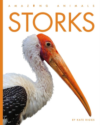 Storks by Riggs, Kate