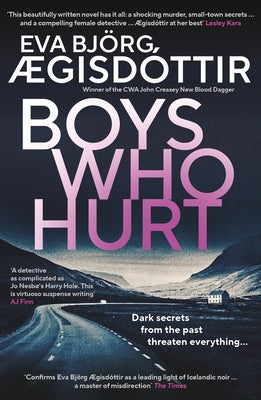 Boys Who Hurt: Volume 5 by ?gisd?ttir, Eva Bj?rg