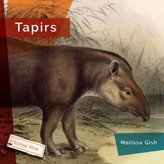 Tapirs by Gish, Melissa