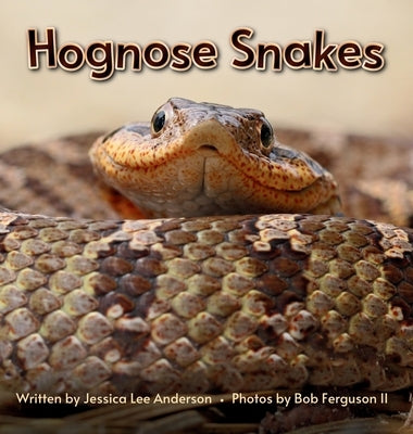 Hognose Snakes by Anderson, Jessica Lee