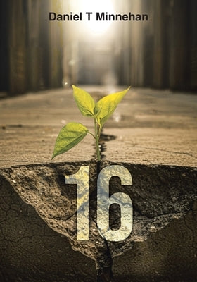 16 by Minnehan, Daniel T.